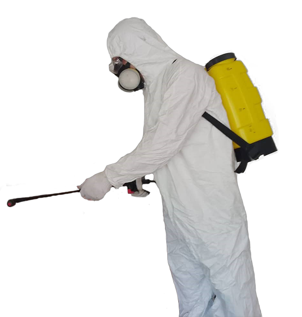 Control de plagas en Caracas